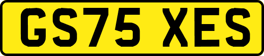 GS75XES
