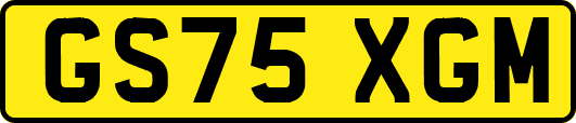 GS75XGM