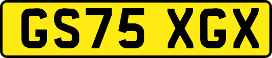 GS75XGX
