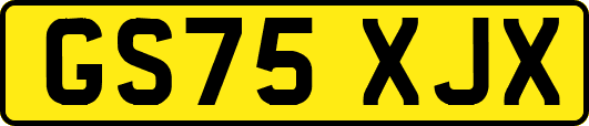 GS75XJX