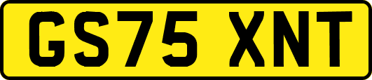 GS75XNT