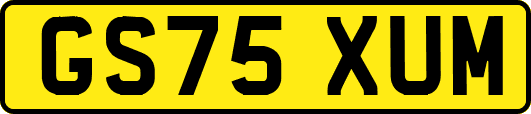 GS75XUM