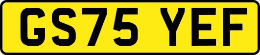GS75YEF