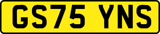 GS75YNS