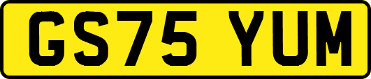 GS75YUM