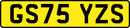 GS75YZS