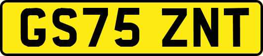 GS75ZNT