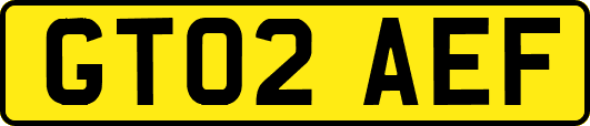 GT02AEF