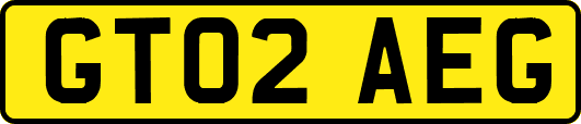 GT02AEG