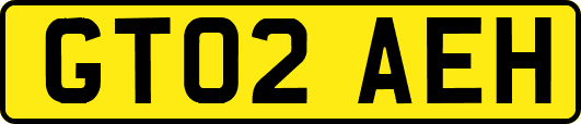 GT02AEH