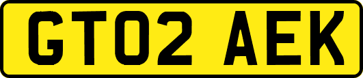 GT02AEK