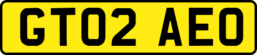 GT02AEO