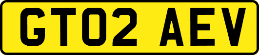 GT02AEV