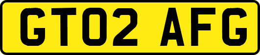 GT02AFG