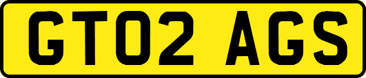 GT02AGS