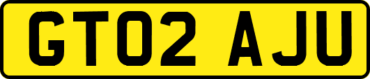 GT02AJU