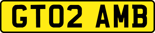 GT02AMB