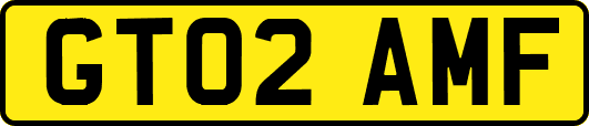 GT02AMF