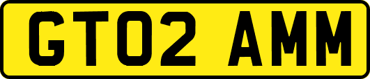 GT02AMM