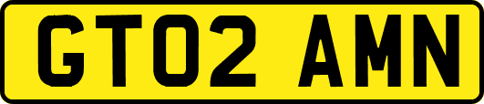 GT02AMN