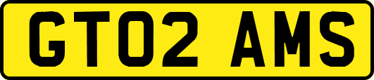 GT02AMS