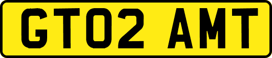 GT02AMT