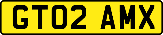 GT02AMX