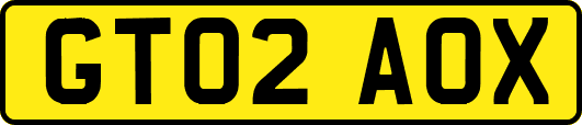 GT02AOX