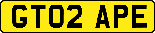 GT02APE