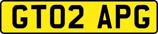 GT02APG