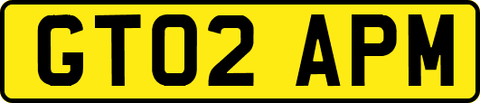 GT02APM