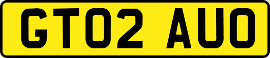 GT02AUO