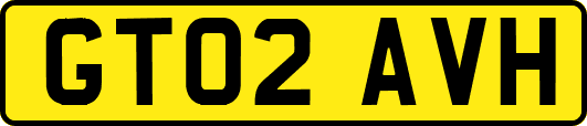 GT02AVH