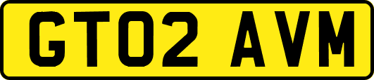 GT02AVM
