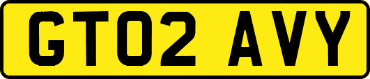 GT02AVY