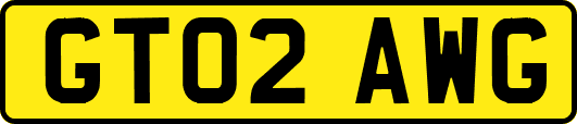 GT02AWG