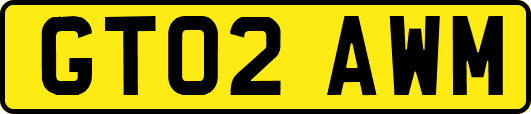 GT02AWM