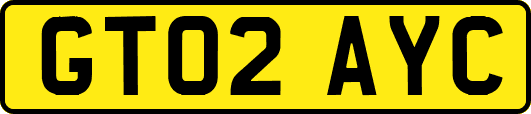 GT02AYC