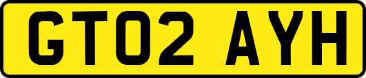 GT02AYH