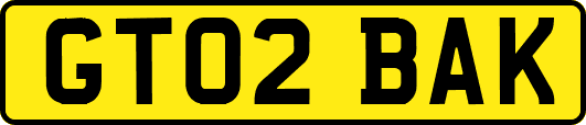 GT02BAK