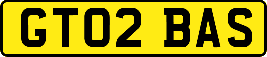 GT02BAS
