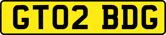 GT02BDG