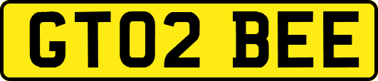 GT02BEE