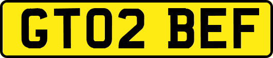 GT02BEF