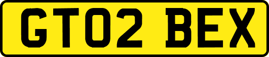 GT02BEX