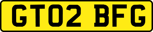 GT02BFG