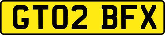 GT02BFX