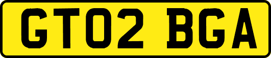 GT02BGA