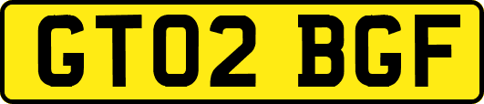 GT02BGF