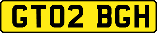 GT02BGH